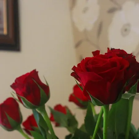 Crofton House Lough Rynn Dom wakacyjny *