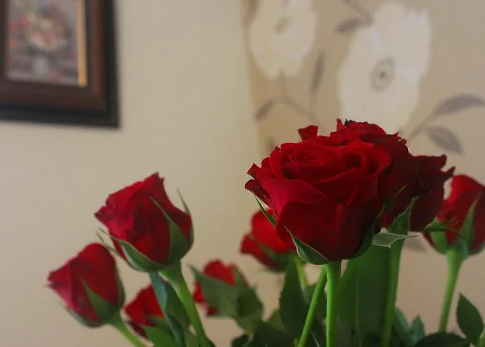 Crofton House Lough Rynn Сasa de vacaciones *